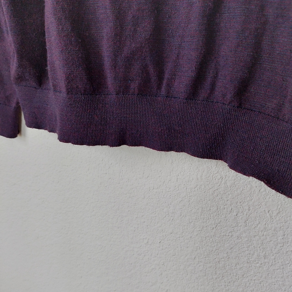 Ibex Purple Vneck Longsleeve Merino Wool Blend Sweater Size Large - Picture 4 of 10